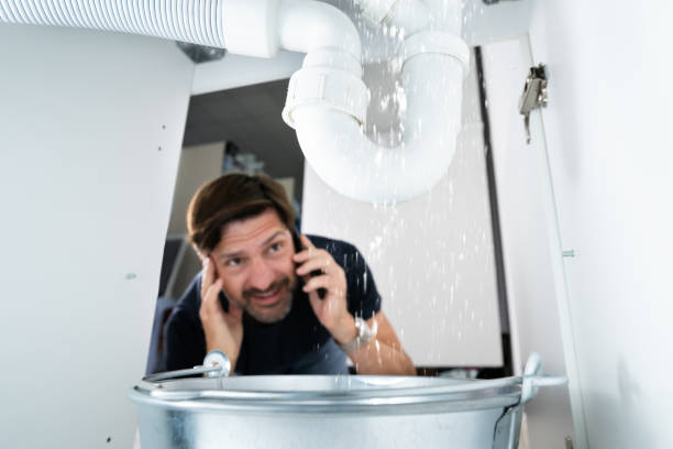 Best Clogged Drain Plumber  in Holly Hill, SC